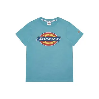 Dickies T Shirts Unisex Porcelain Green