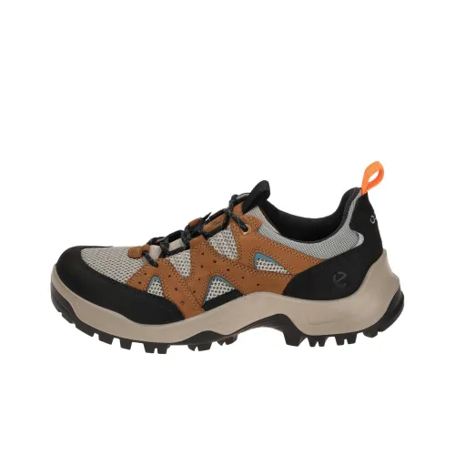 Ecco Off-road Series Low-Top Outdoor Shoes Men's Black Brown