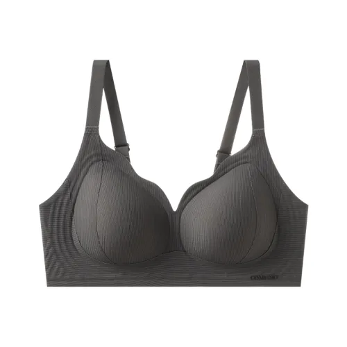 2323 Bra Women's 2 Pack Misty Blue