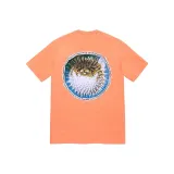Pink/Peach