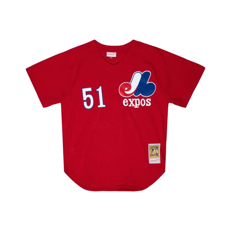Mitchell Ness Mesh Bp Montreal Expos 1989 Tim Raines Authentic Jersey-0