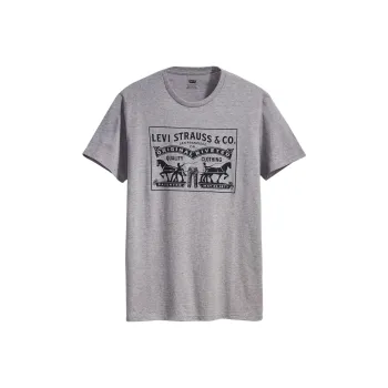 Levis T Shirts Men Gray