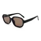 Black Frame with Tea Brown Lens
