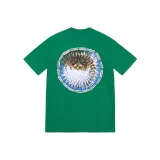 Green/Light Pine
