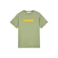 Gray Green