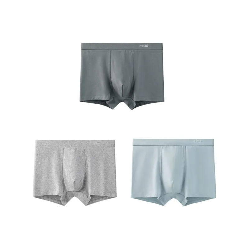 XISHE Underpants Men's Combo Set-8