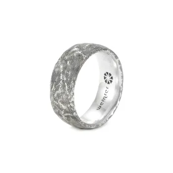 The Next Life S925 Silver Rings Men's