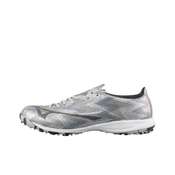 Mizuno Alpha 2 Soccer Shoes Men Low Top Silver