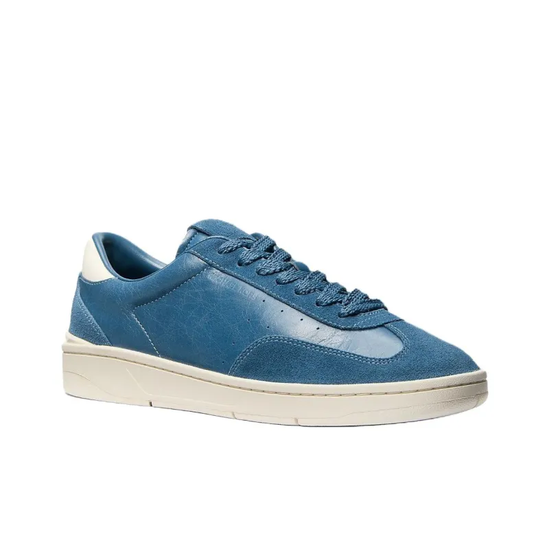 MICHAEL KORS Wilton Low Top Skateboard Shoes Men's Blue-2