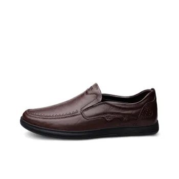 Mr. Thorn Tree Casual Shoes Men's Brown