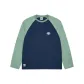 Light Gray Green
