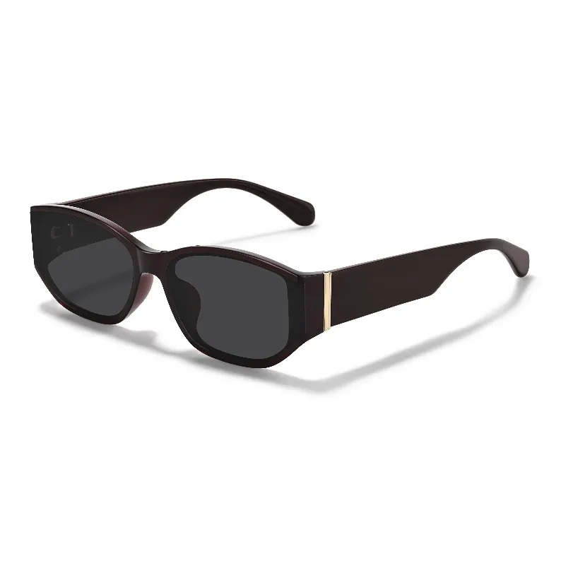 Sagawa Plate Frame Irregular Shape Sunglasses Unisex-0