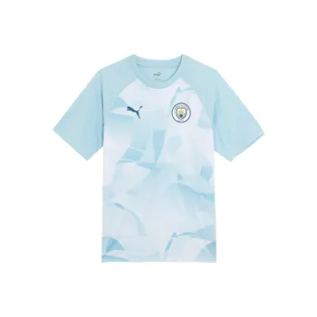 PUMA T Shirt Men's Silver Gray Lake Blue
