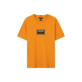 Tommy Hilfiger T Shirts Men