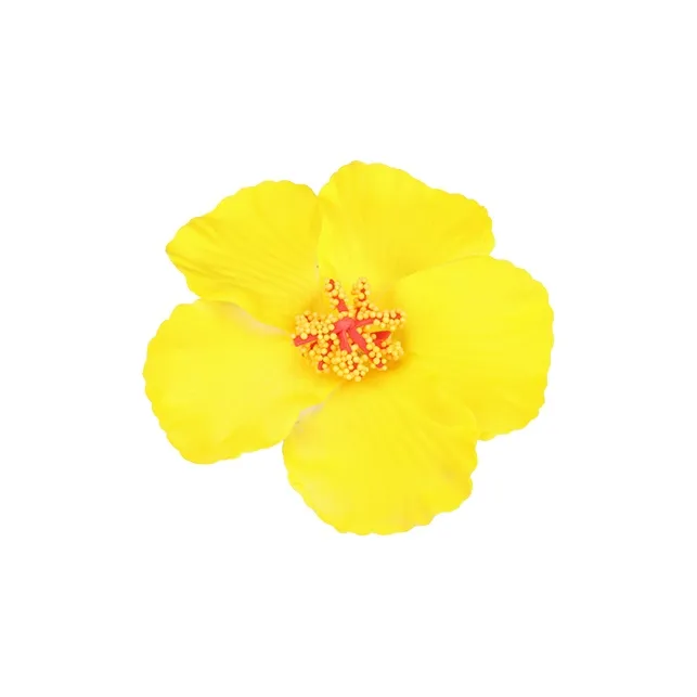 Peach Tea Plastic Hair Clips Women's-3