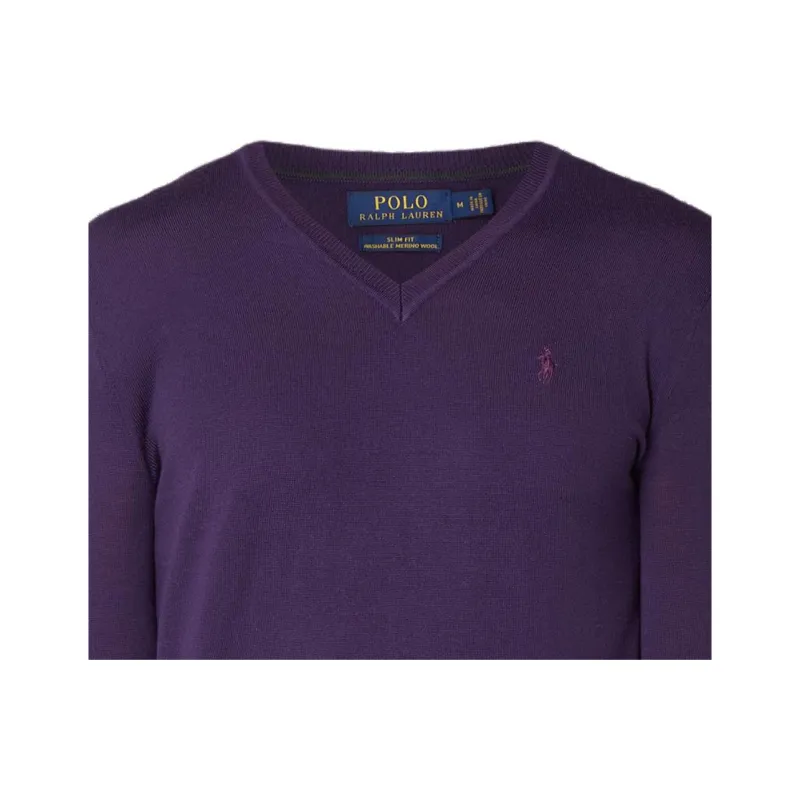 Polo Ralph Lauren Sweater Men's Purple-4