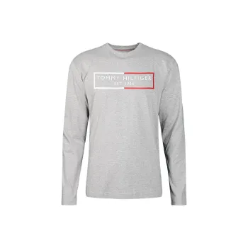 Tommy Hilfiger T Shirts Men