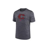 Slate Gray