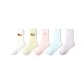 Dachshund B Set-5 Pack