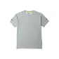 Silver Gray/6720