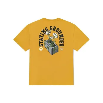 Vans T Shirts Unisex Brown