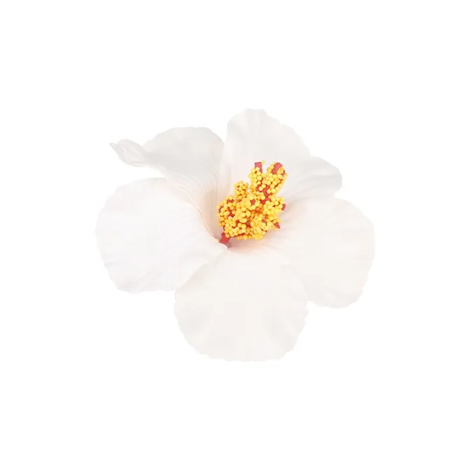 Peach Tea Plastic Hair Clips Women's-2