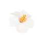 White Floral Hair Clip, 1 Piece