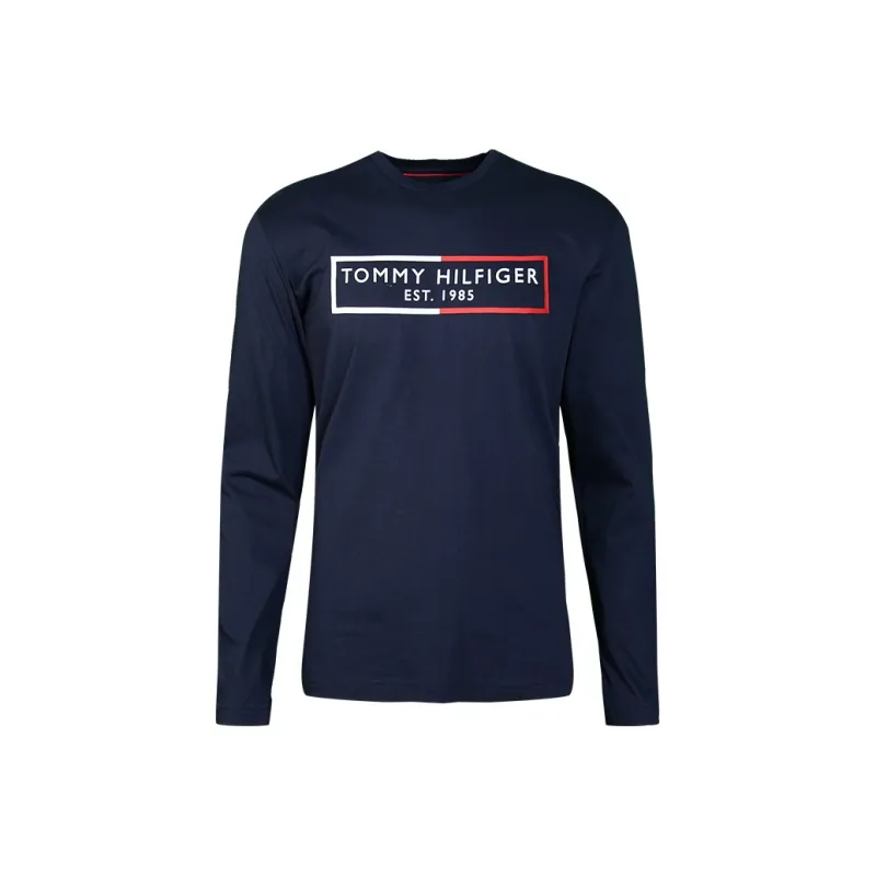 Tommy Hilfiger T Shirts Men-1
