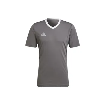 Adidas Entrada 22 T-Shirts Men Lead