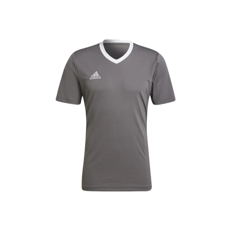 Adidas Entrada 22 T-Shirts Men Lead-0