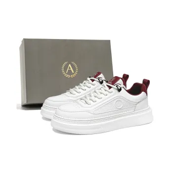 AOKANG Dunk Series Anti Slip Wear Resistant Lightweight Breathable Height Increasing Low Top Skateboard Shoes Men's