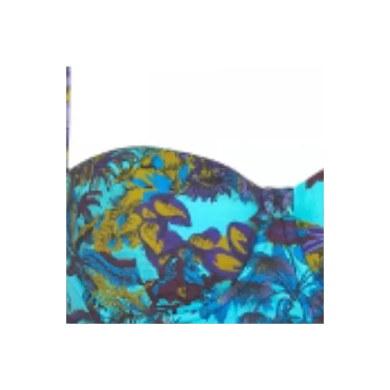 DIOR Floral Printed Bikini Top-2