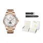 Steel Band Rose White[Luxury Box]