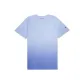 T5860-407D55-A58C Purple Gradient