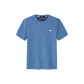 Gray Blue 103