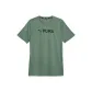 Light Green Gray