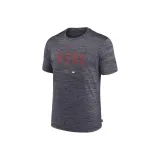 Slate Gray