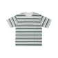 Gray Green Stripes
