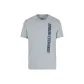 Light Gray Blue