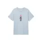 Light Smoke Gray