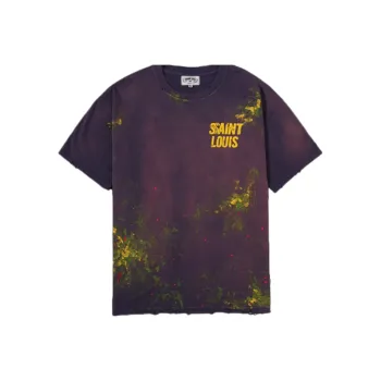 SSSAINT LOUIS T Shirts Unisex Purple
