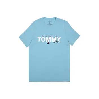 Tommy Hilfiger T Shirts Men