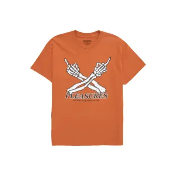 PLEASURES Don't Care Tee