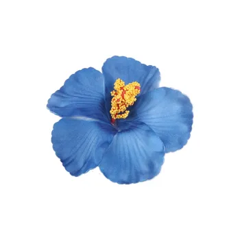 Peach Tea Plastic Hair Clips Women's