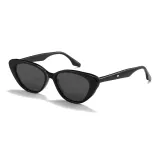 Black Frame with Black Gray Lens