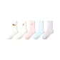 Dachshund C Set-5 Pack