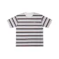 Plum Stripes