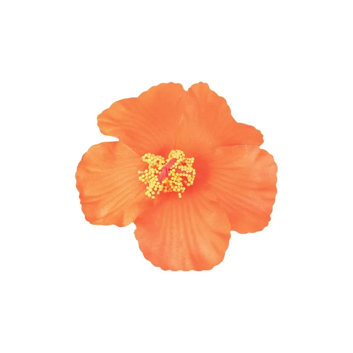 Peach Tea Plastic Hair Clips Women's-5