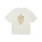 BEIGE/Beige Apricot