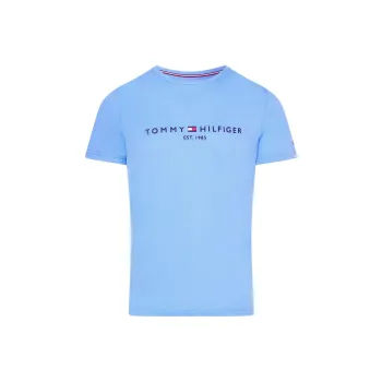 Tommy Hilfiger T Shirt Men's Blue